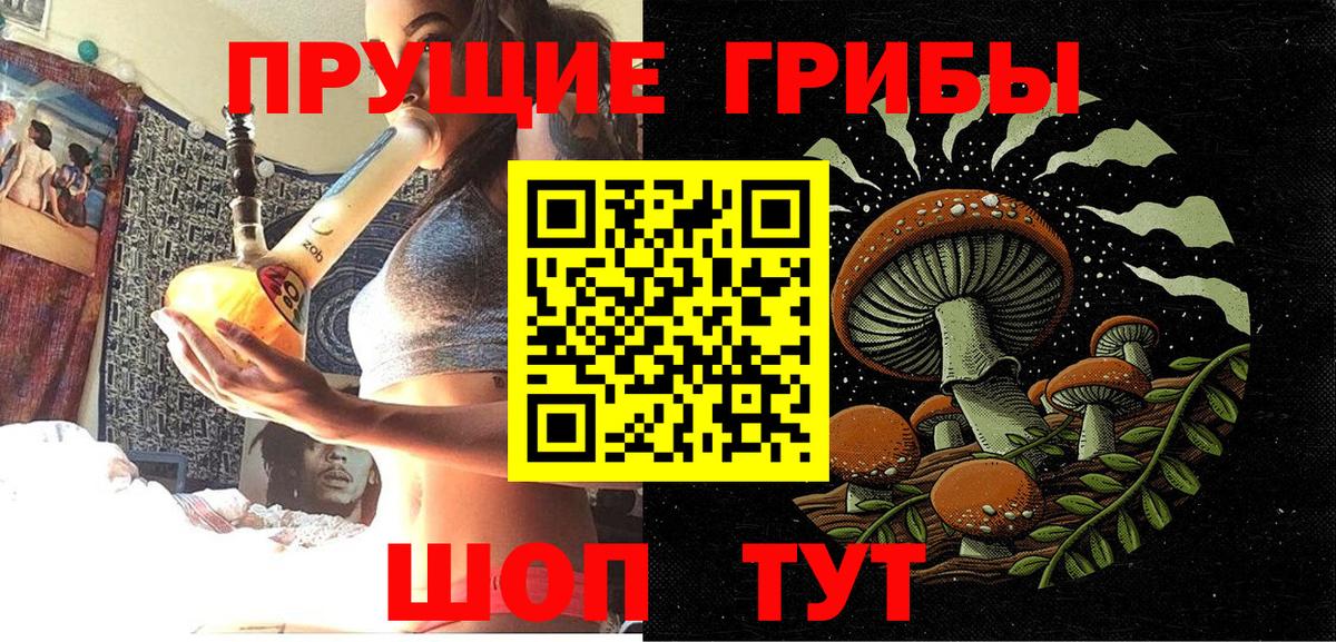 Галлюциногенные грибы GOLDEN TEACHER  Вход с VPN  Галлюциногенные грибы Magic Shrooms  Азнакаево 